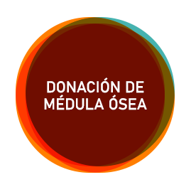 donacion-medula-osea